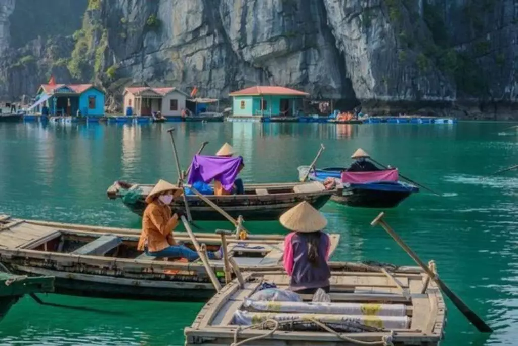 Verdure Lotus Classic Cruise